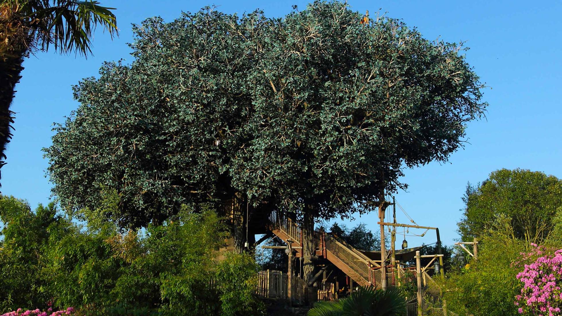 La Cabane des Robinson — Parque Disneyland, Disneyland Paris