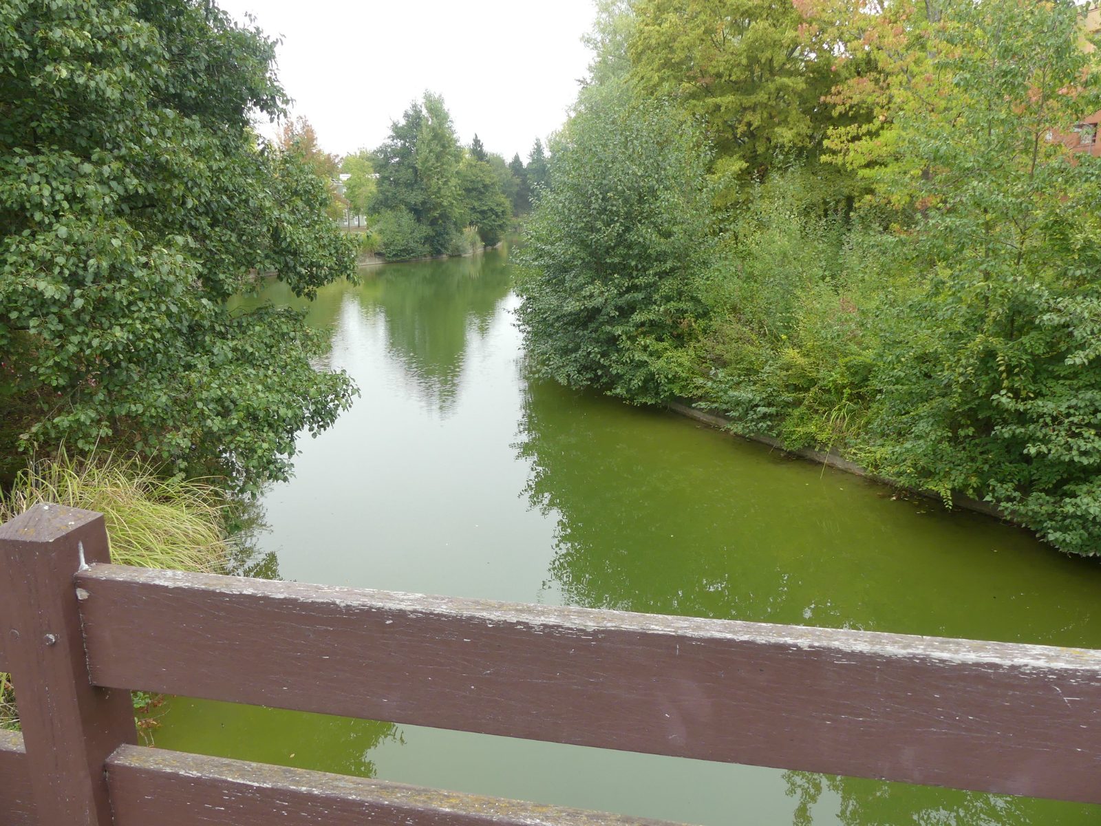 Un lago en el Disney Davy Crockett Ranch